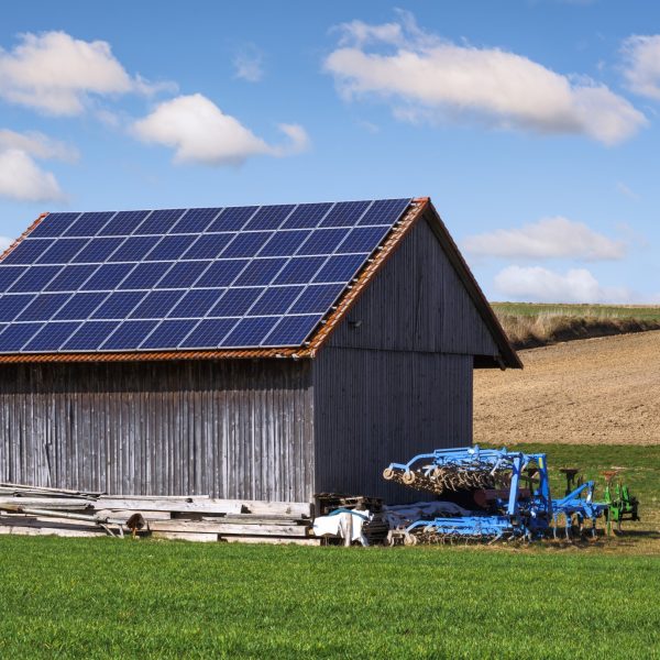 Green energy with solar collectors on the roof of an agricultural building